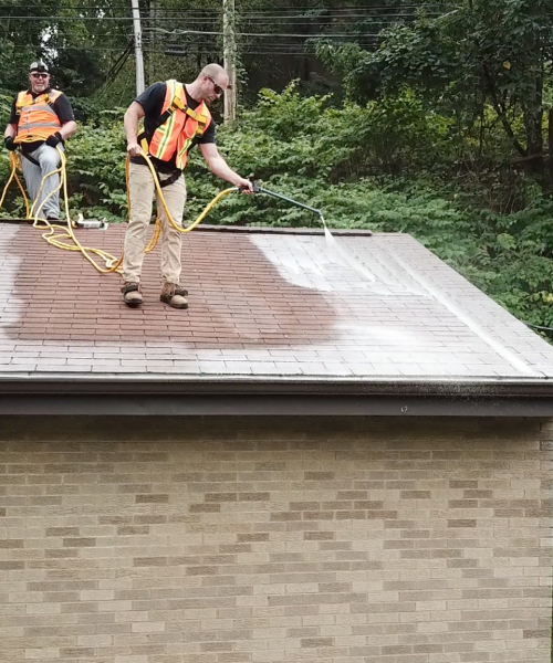 Ugly Roof, roof restoration, roof rejuvenation, roof cleaning services, roof repair Pittsburgh, roof cleaning Pittsburgh, roof inspection near me, commercial roof cleaning services